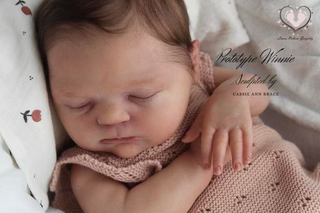 Pre-Order 19inch Reborn Baby Winnie Unpainted Kit With Cloth Body Ship in 20 Days