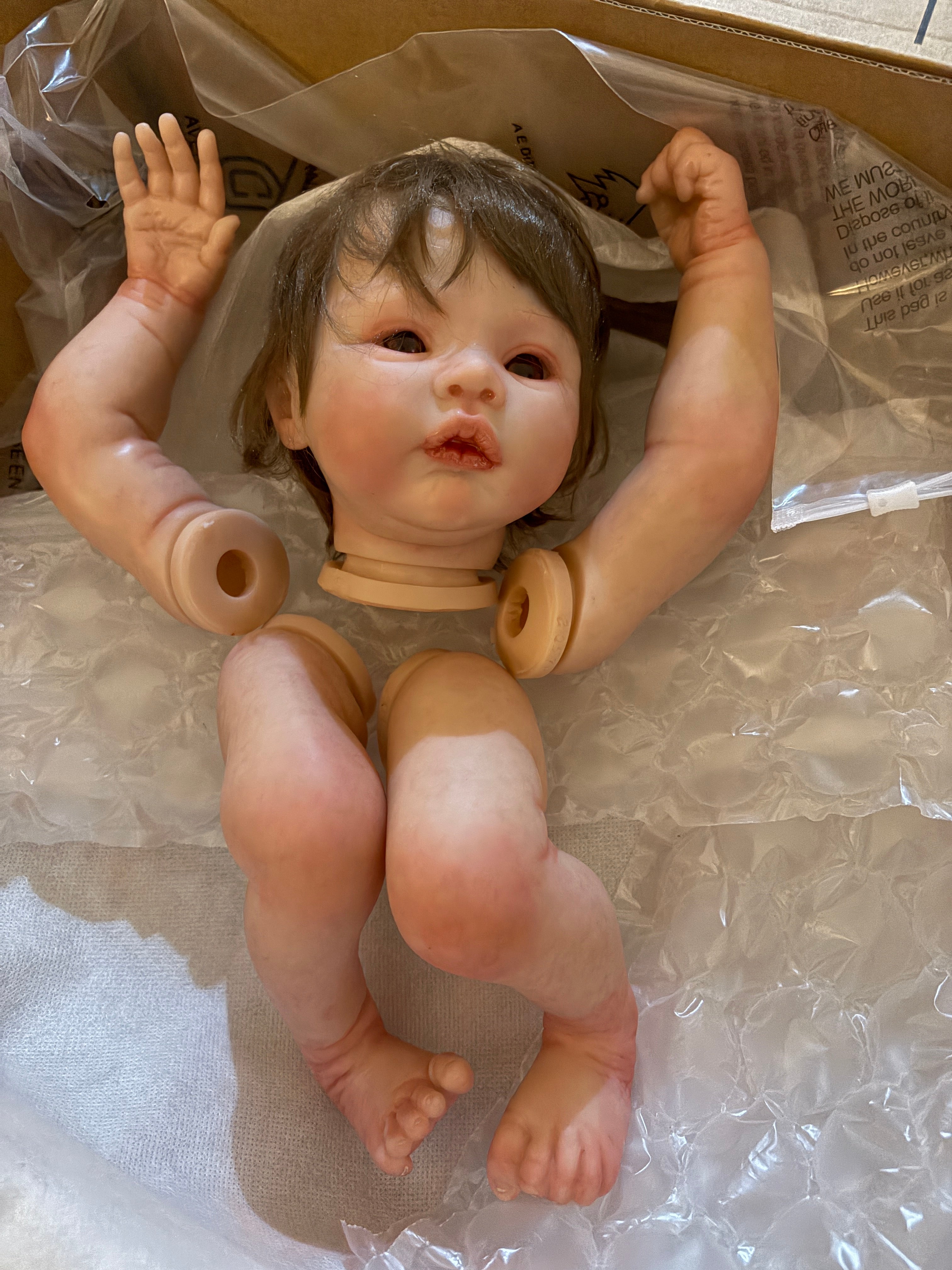 In Stock18inch Reborn Baby Alexis Genesis Painted with Cloth body Hand-Rooted Hair｜Artist Work Clearance