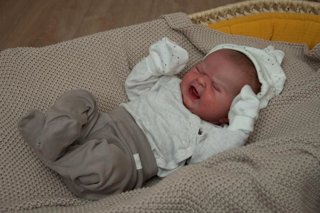 19inch Finished Reborn Doll MARIA "BABY'S FIRST CRY" Same As Picture 3D Skin Painted Hair Visible Veins Reborn Baby Doll